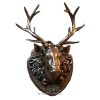 Barasingha Head - Swamp Deer Head Wall Mount